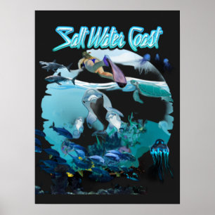 Poster Côte d'eau salée