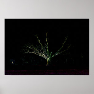 Poster Côté foncé 1 wapcn