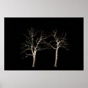 Poster Côté foncé 9 wapcn