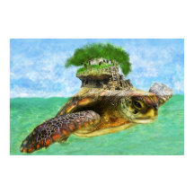 Côte - Île de la tortue de mer