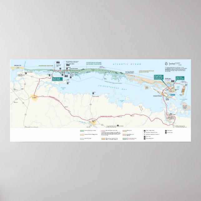 Poster Côte nationale de l'île Assateague (Devant)