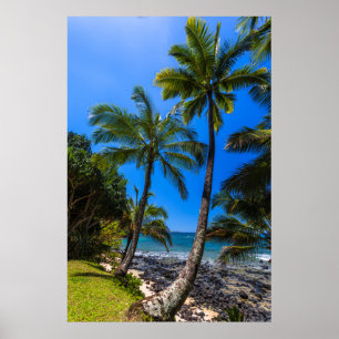 Poster Côte tropicale 2
