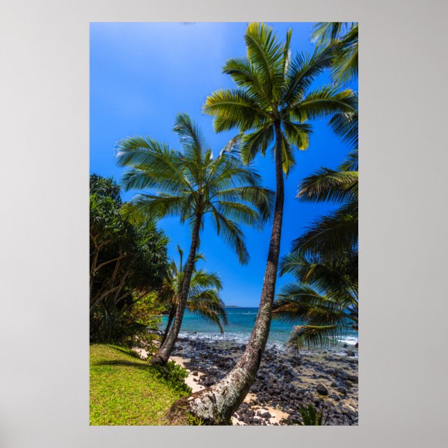 Poster Côte tropicale 2 (Devant)