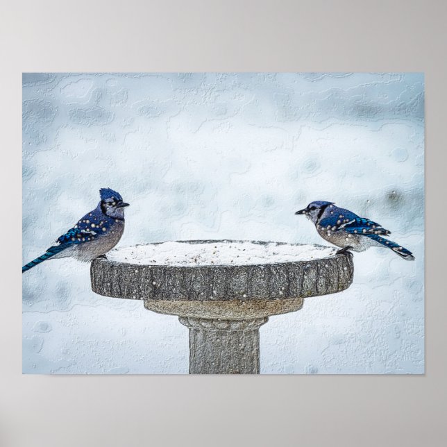 Poster Côtés opposés, en gros (Devant)