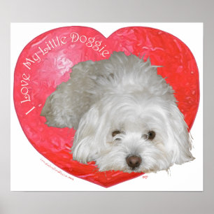 Poster Coton de Tulear Saint-Valentin