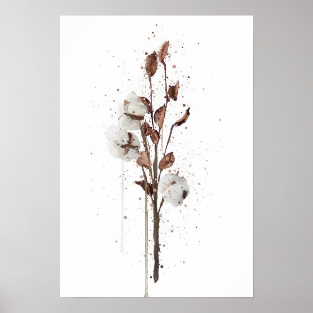 Poster Cotton (Devant)