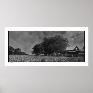 Poster Cottonfield et copie d'affiche de grange