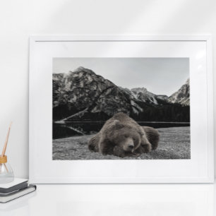 Poster Couchage Ours Rustique Décor Cabine Paysage