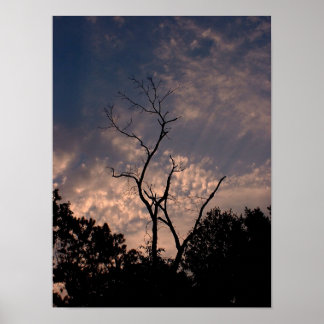 Poster Coucher de soleil 18