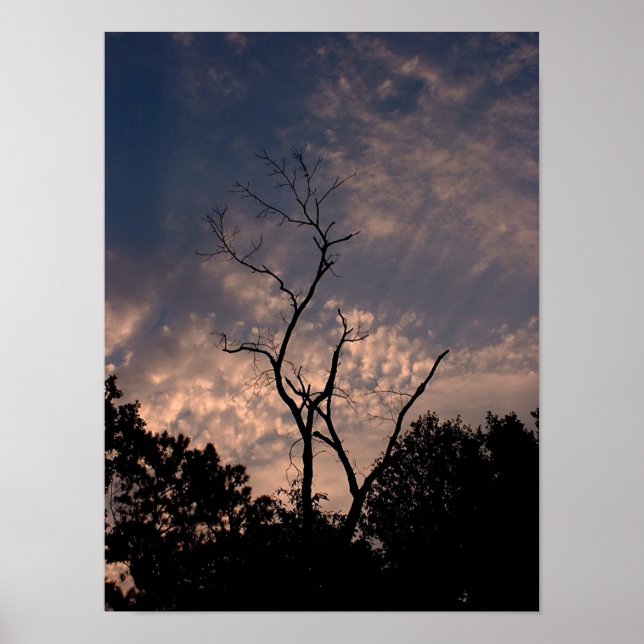 Poster Coucher de soleil 18 (Devant)