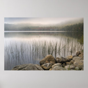 Poster Coucher de soleil à travers le brouillard sur l'ét