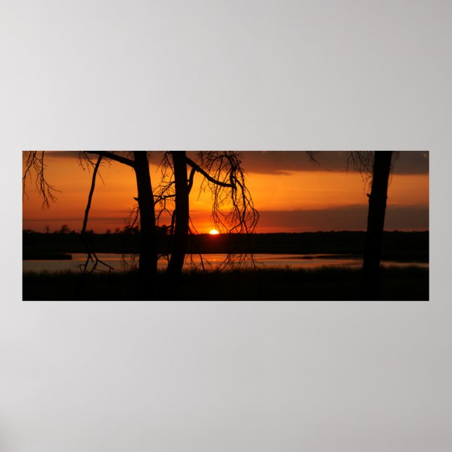 Poster Coucher de soleil à travers les arbres (Devant)