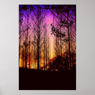 Poster coucher de soleil à travers les arbres couleur cha