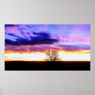 Poster Coucher de soleil au-delà de l'arbre_