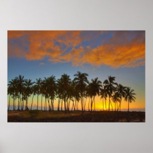 Poster Coucher de soleil au parc national historique Pu'u
