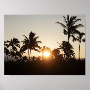 Poster Coucher de soleil aux palmiers du jardin hawaïen W