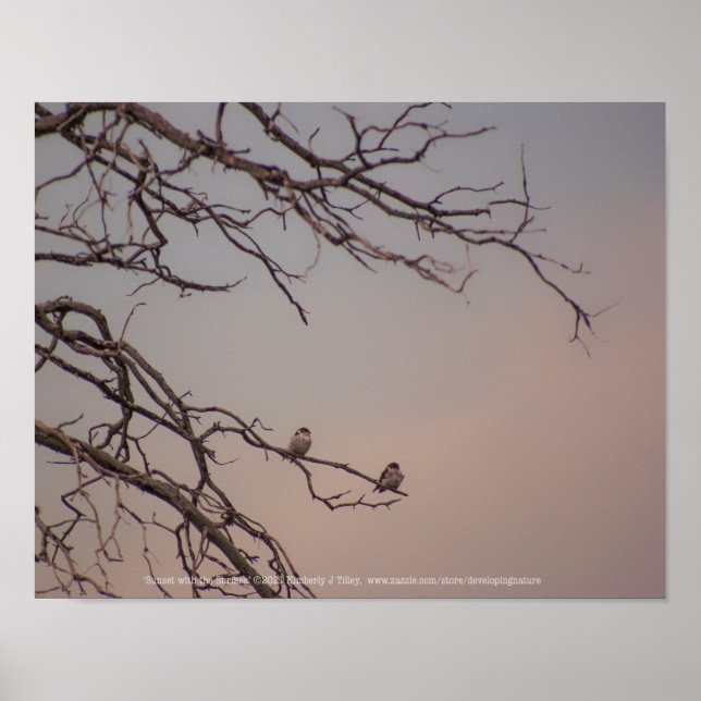 Poster Coucher de soleil avec les grikes (Devant)