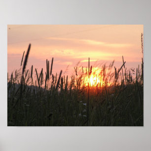 Poster Coucher de soleil - champ de tir