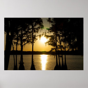 Poster Coucher de soleil Cypress
