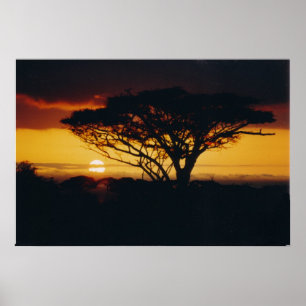 Poster coucher de soleil d'afrique