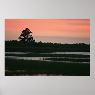 Poster Coucher De Soleil Dans Les Zones Humides