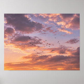 Poster Coucher de soleil dans un oliveraie marocaine - Nu