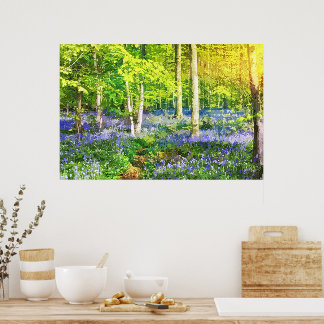 Poster Coucher de soleil dans une forêt bleue