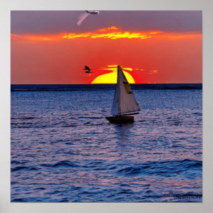 Poster Coucher de soleil de bateau à voile en Floride