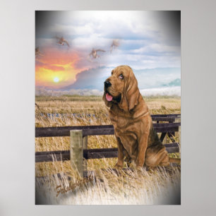 Poster Coucher de soleil de Bloodhound