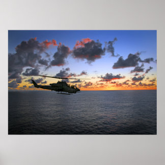 Poster Coucher de soleil de Cobra