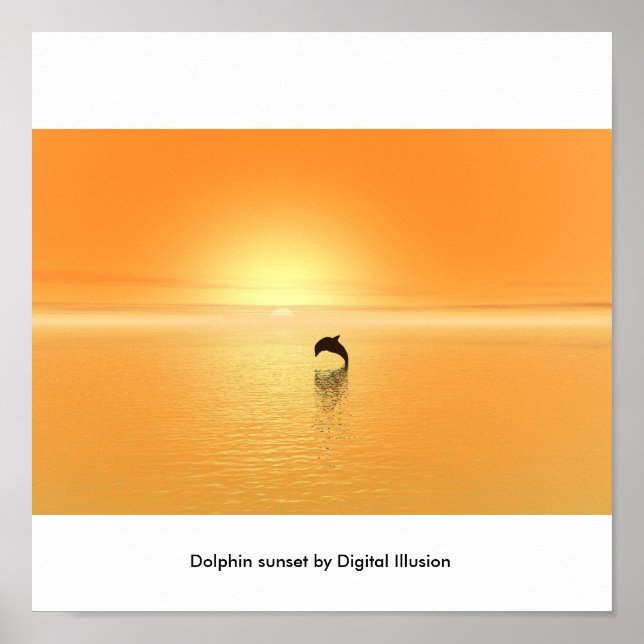 Poster Coucher de soleil de dauphin (Devant)