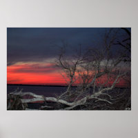 Coucher De Soleil De L'Arbre Morte, S Cyr