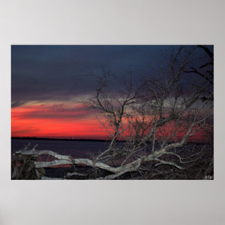Poster Coucher De Soleil De L'Arbre Morte, S Cyr