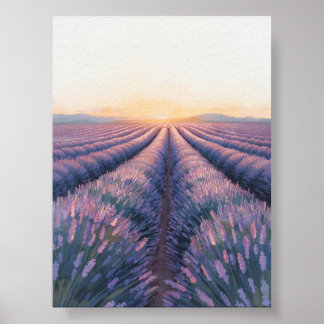 Poster Coucher de soleil de lavande