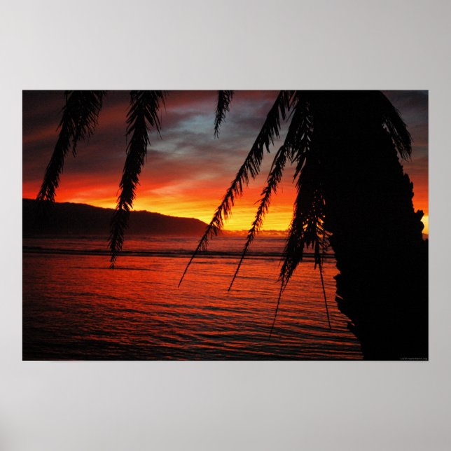 Poster Coucher de soleil de Palm (Devant)