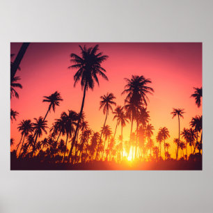 Poster Coucher de soleil des arbres tropicaux