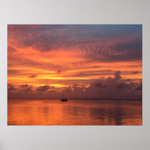 Poster Coucher de soleil des Everglades