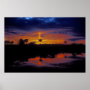 Poster Coucher de soleil des Everglades