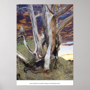 Poster Coucher de soleil du Colorado