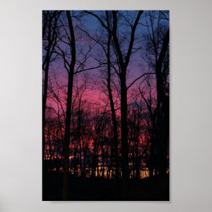 Poster Coucher de soleil du Midwest à travers les arbres