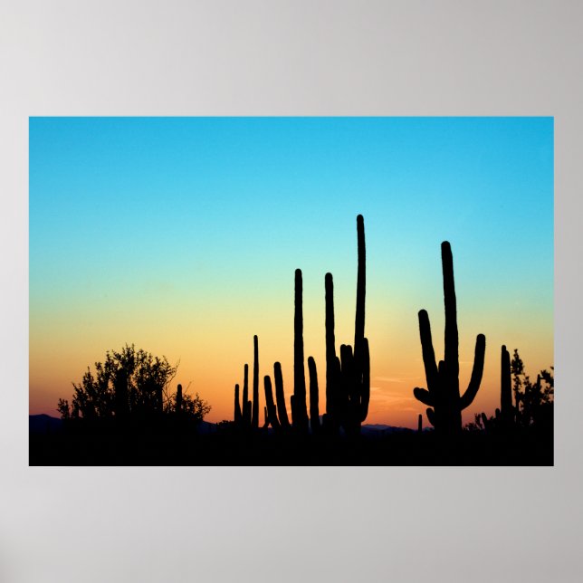 Poster Coucher de soleil du Saguaro (Devant)
