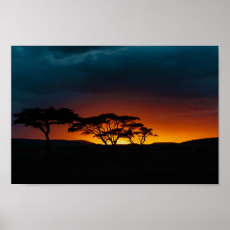 Poster Coucher de soleil du Serengeti
