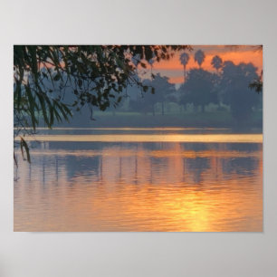 Poster Coucher de soleil du soir
