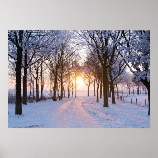 Poster Coucher de soleil en hiver (Devant)