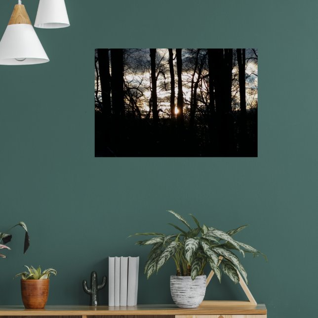 Poster Coucher de soleil en hiver dans la forêt (Salon 1)