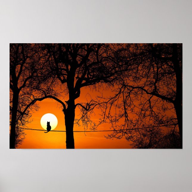 Poster Coucher de soleil en silhouette de chat noir (Devant)