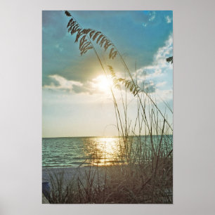 Poster Coucher de soleil et avoine marine