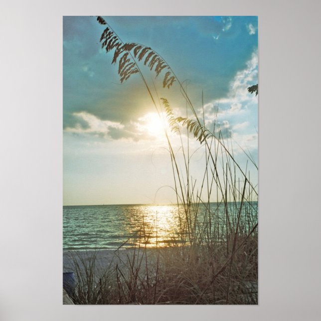 Poster Coucher de soleil et avoine marine (Devant)