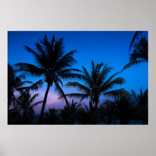 Poster Coucher de soleil et palmiers