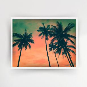 Poster Coucher de soleil et palmiers de la pêche tropical
